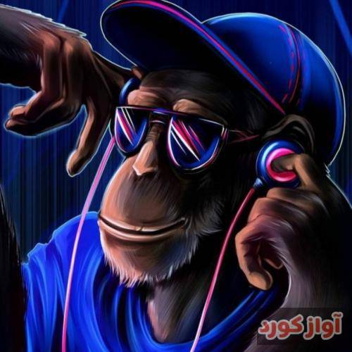  دنباله آرامشی ولی این آدما که توشون نیس