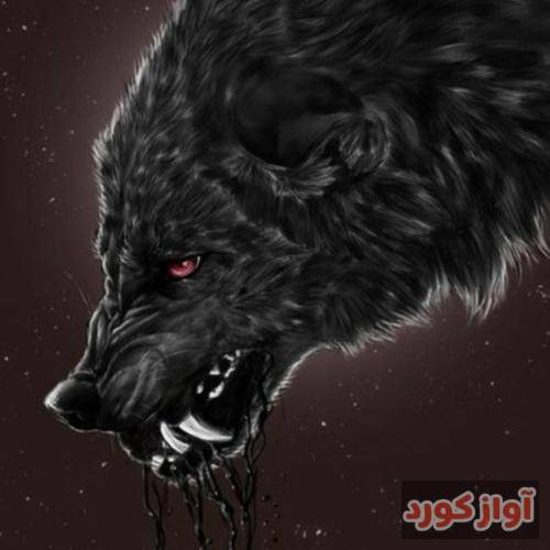  انقدر ندیدتت دیگه داره مریض میشه کم کم