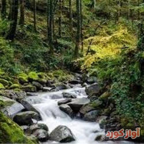 لیلا خوران تو دل و گیانی منی