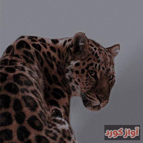 کیوان تاریخ جدایی