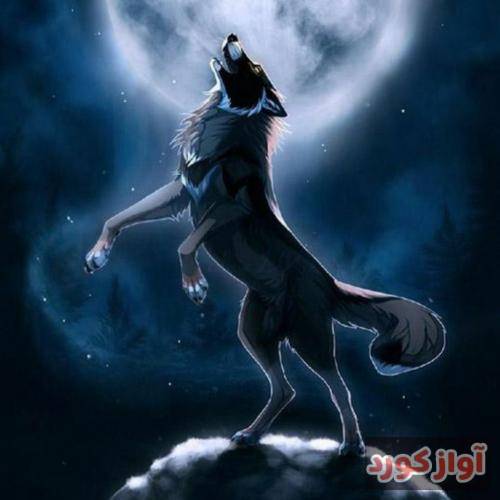  بعضی وقتا خدافظی آخرین راهه که میمونه برات