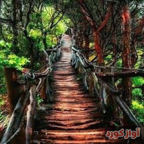 دینا هه لپه رکی