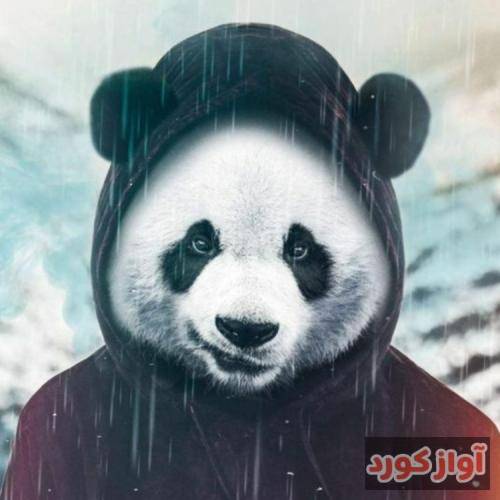  میدوییدیم با هم رو ابرا یا فک نمیکردیم به فرداها