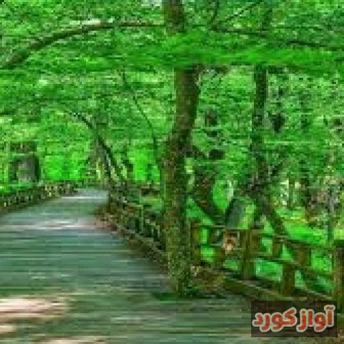 سایه گله سرخ