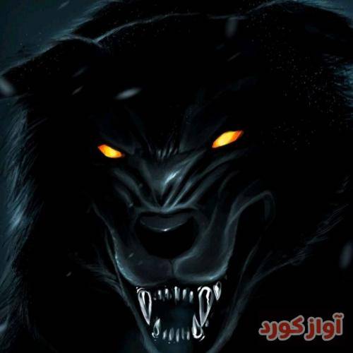  اعتماد به انسان برابر است با مرگ