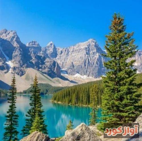 علیرضا باباجانی کار توعه