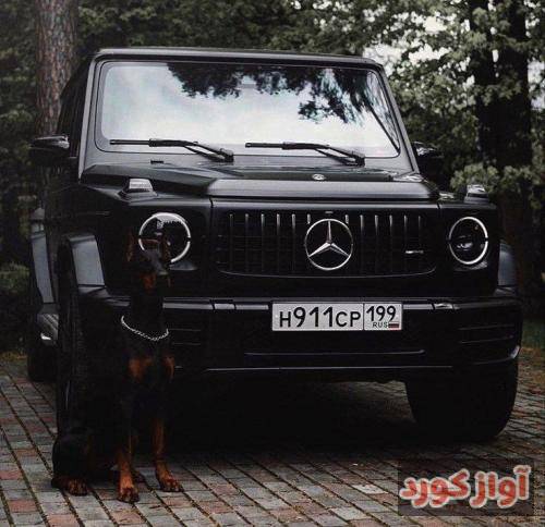 رضا دژانگاه کابوس