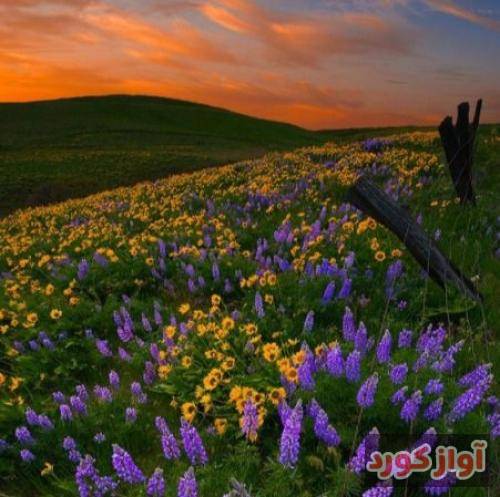  واسه همشون حلالم کن ماما