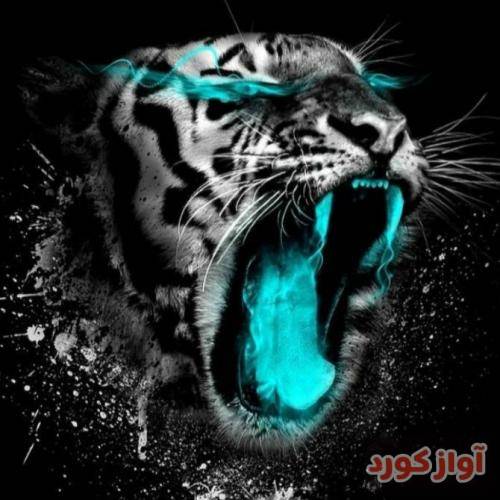 دنیات پر از رنگای تیره است همه میرن و تنها میشی