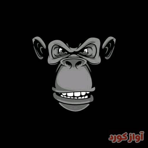  دستاتو میگیرم اگه تو نباشى میمیرم