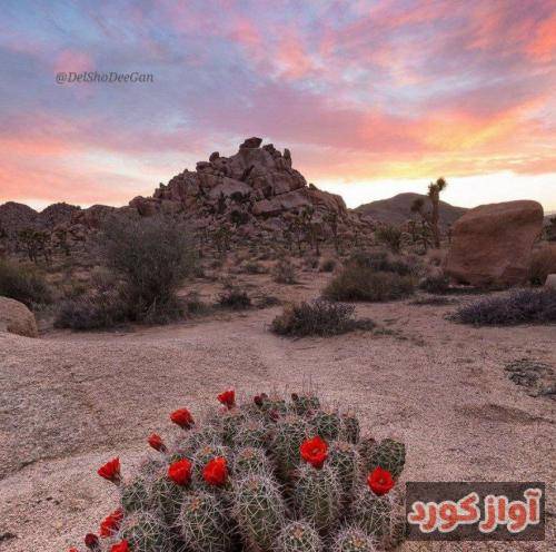 علی رزاقی دل شکسته شب و روز حال گریه داره