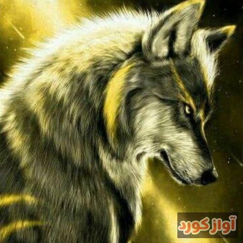  میدونم سخته جدایی واست اما چاره ای نیست