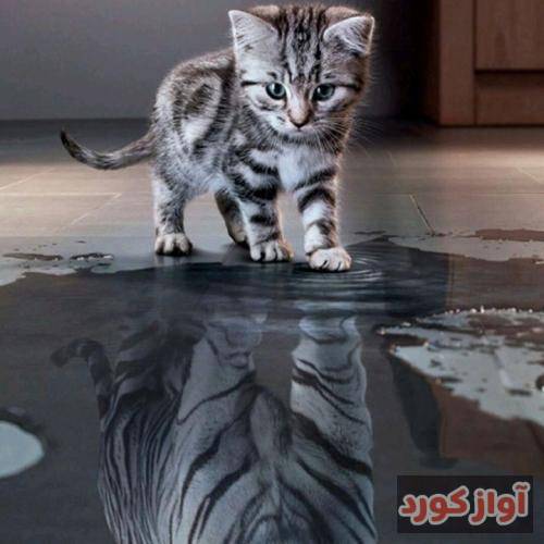 حمید هیراد دریای موهات