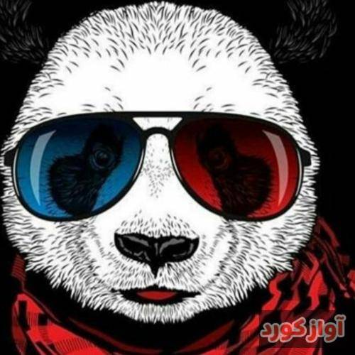  میدونم میگی نه میگی شاید دیگه همو نبینیم