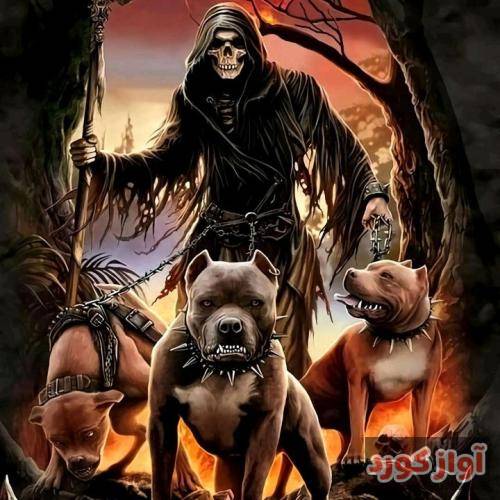  تو عشقى که یه رویاست با تو زندگى کردم