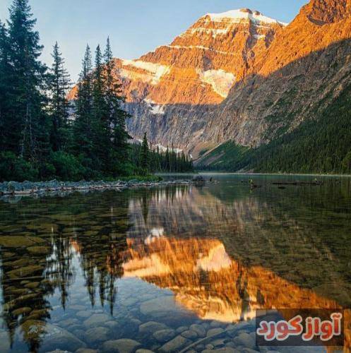  همه رو میزنیم حتی حیفا