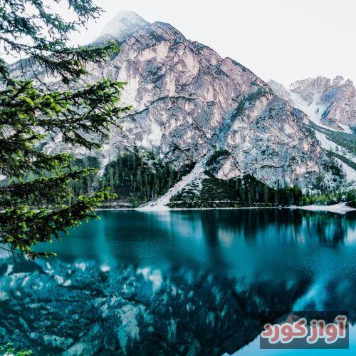  ببین من چقدر بالا بودم که تو رو شتر ندیدم