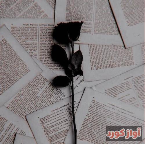  چی از این بهتره صدامونو دنیا بشنوه