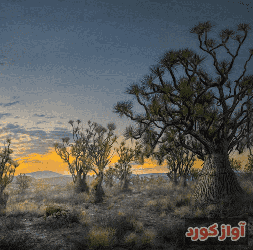 مرتضی جعفرزاده بیصدا بارونم با چشای گریونم
