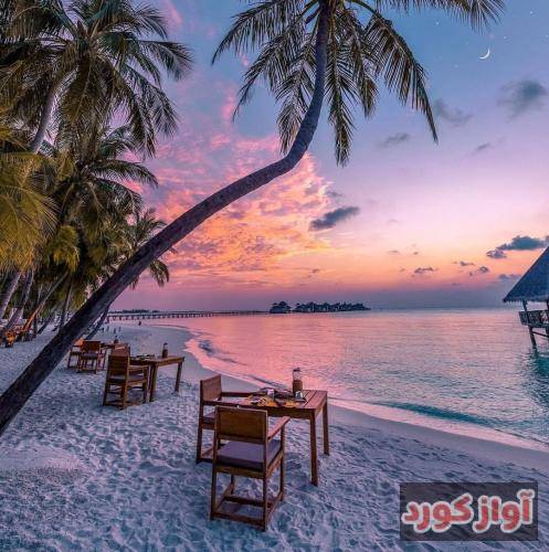جواد نکایی ای یار جانی