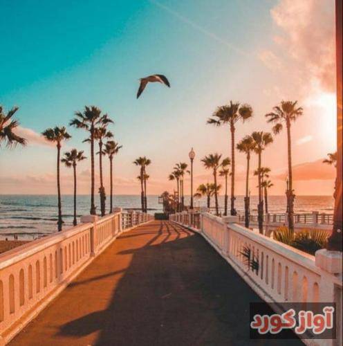 سعید حسینی نیترم ترکت کنم