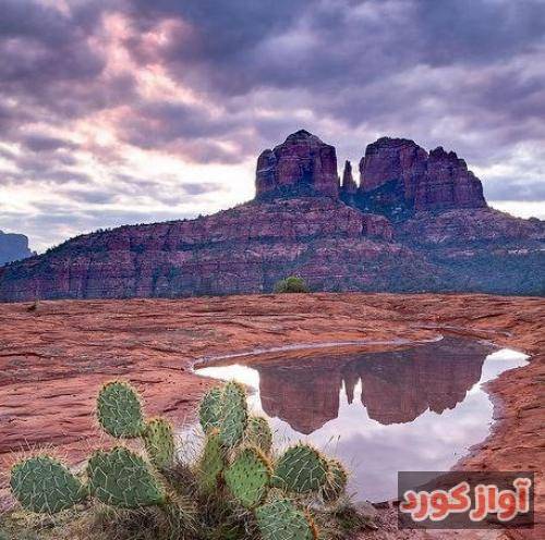  تو یه آویزون چیپی و فان بازم فکر کن