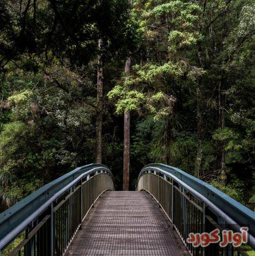  بلند شو تو حالا تکون بدش پایینو بالا