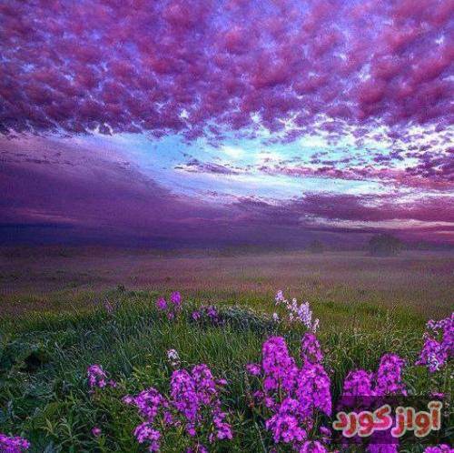  تو یه دخترک عقده ای ندید بدیدی