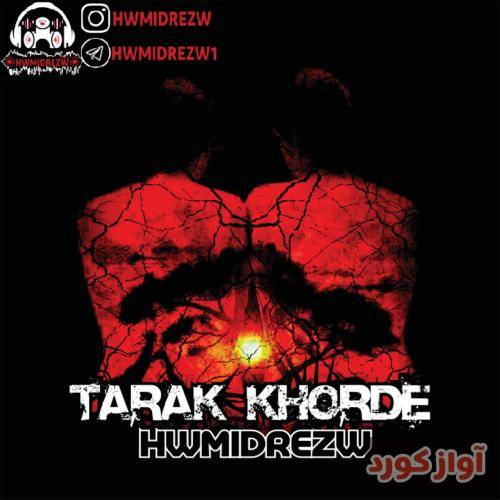 حمیدرضا ترک خورده