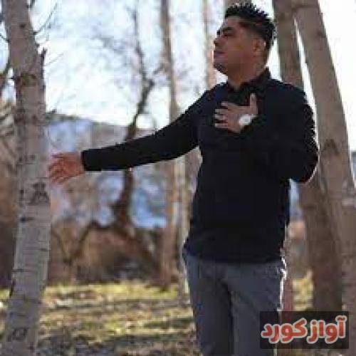 علی شرفی تون ایمام رضا نیه آزارم