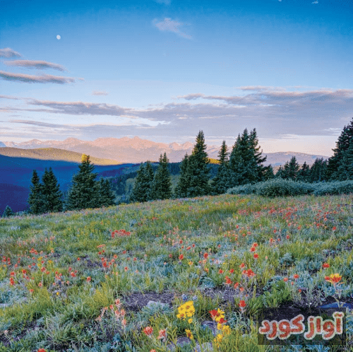 اون منو جادو کرده نگاش داغونم