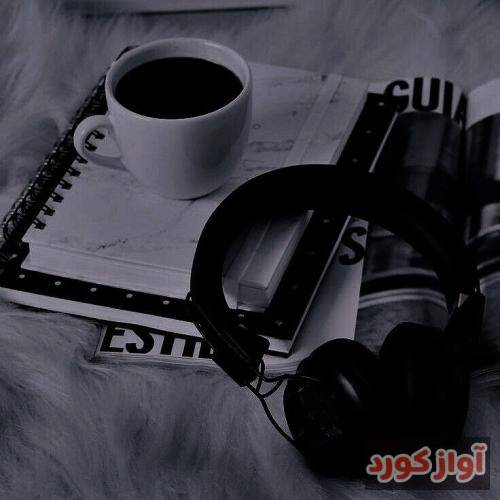  تقصیر من نیست دلم انقدر واست پر میزنه