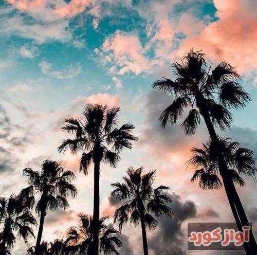  آره هرچی که هست حال میده همینطوری