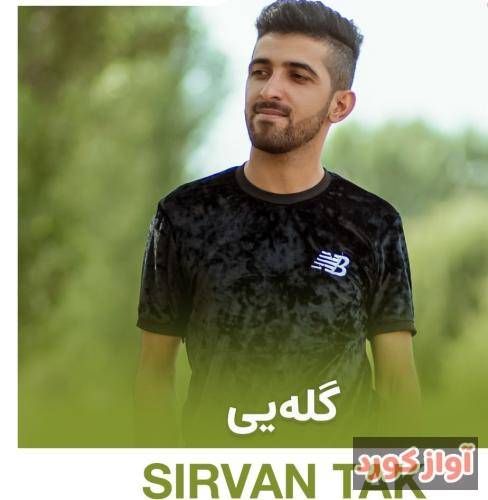 سیروان تاک گلەیی