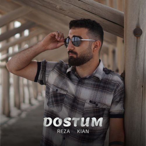 رضا زادکیان دوستوم