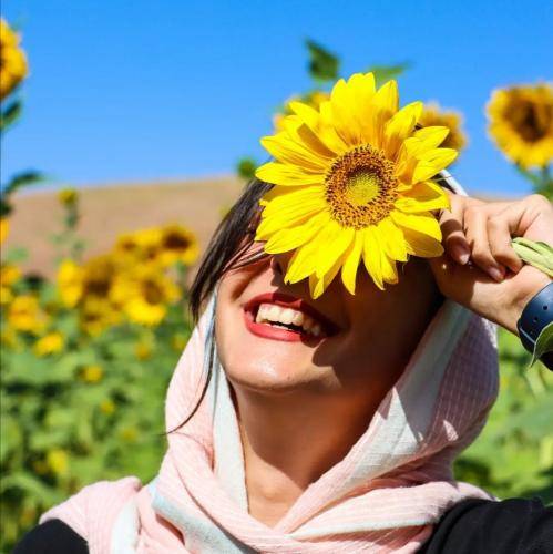 یهو کنسل میکنم همه چیو میرم