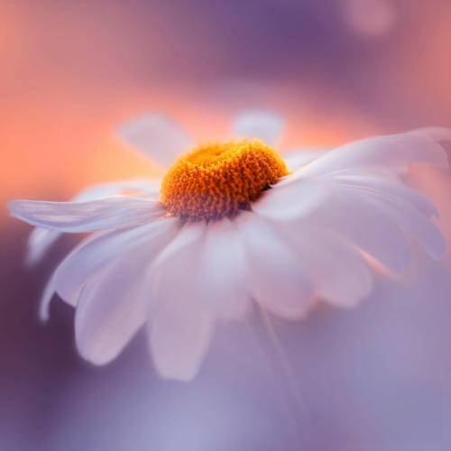  قضاوت شده یه عمر به چشم بد آره این منم یه زن