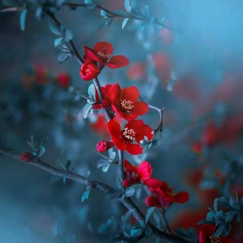  بخون از این غمی که تو این چشا میبینی پُرم از این قیل و قال روزگاری