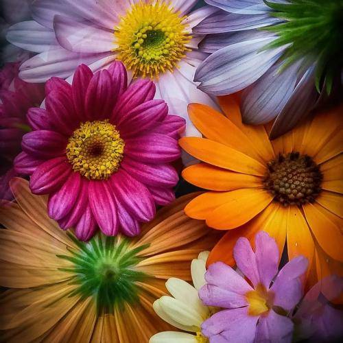 جواد عباسی آسمون آبی