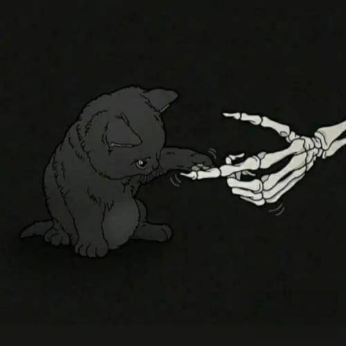 خیلی وقته کشیدم بیرون از جامعه نمی صرفه سرو کله با پاچه دولت