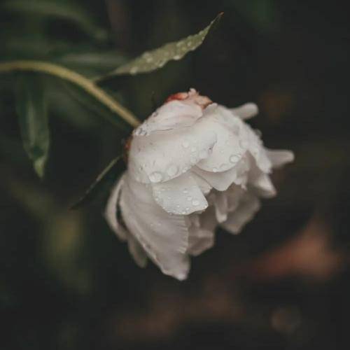 نگام بکن لبخند بزن چشات چقد خواستنی ان