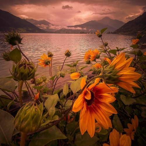 میگن قلب استخون نداره پ اینا چیه توش میشکنه