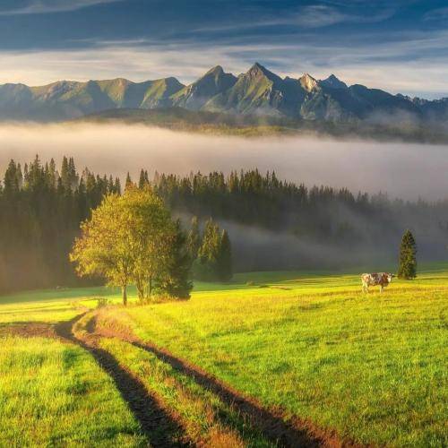 روژان محمودزاده دستیم بیگر