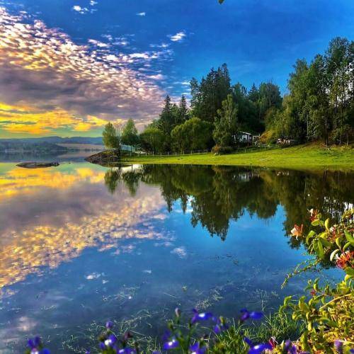 روژان محمودزاده تا کی