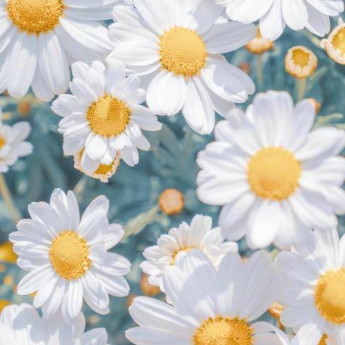  آره این منم یه زن پوست و استخون و تن