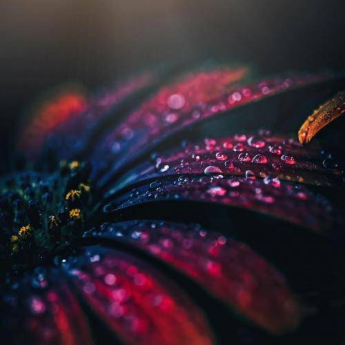 خودم با خودم چند ماهه قهرم تنها ترین تنهای شهرم