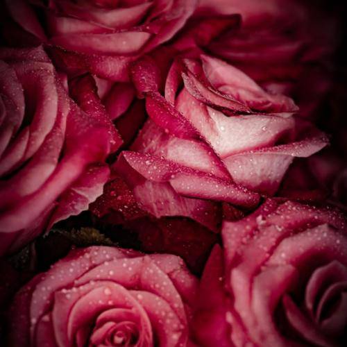 لیلای عزیزم سر راحت میشینم