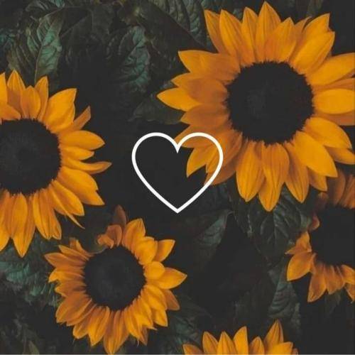 بغض نکن بغض نکن ای میهن دل نگران خروش تو گسیل کن