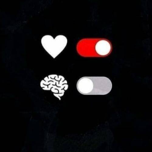 اپیکور جنگ