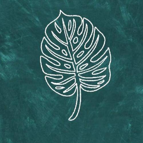  این دیگر افسانه نیست ضحاک زمانه تویی